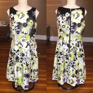Taylor fit and flare floral dress